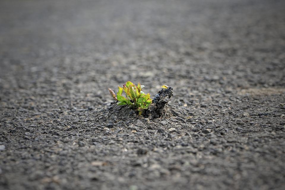 Breakthrough Transformation